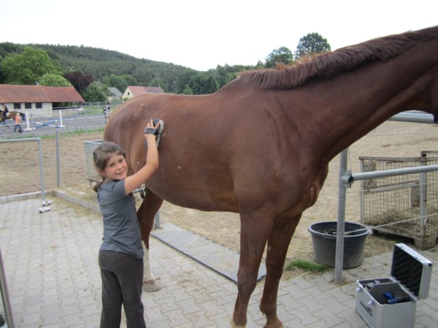 reiten585.jpg