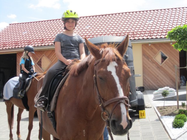reiten599.jpg